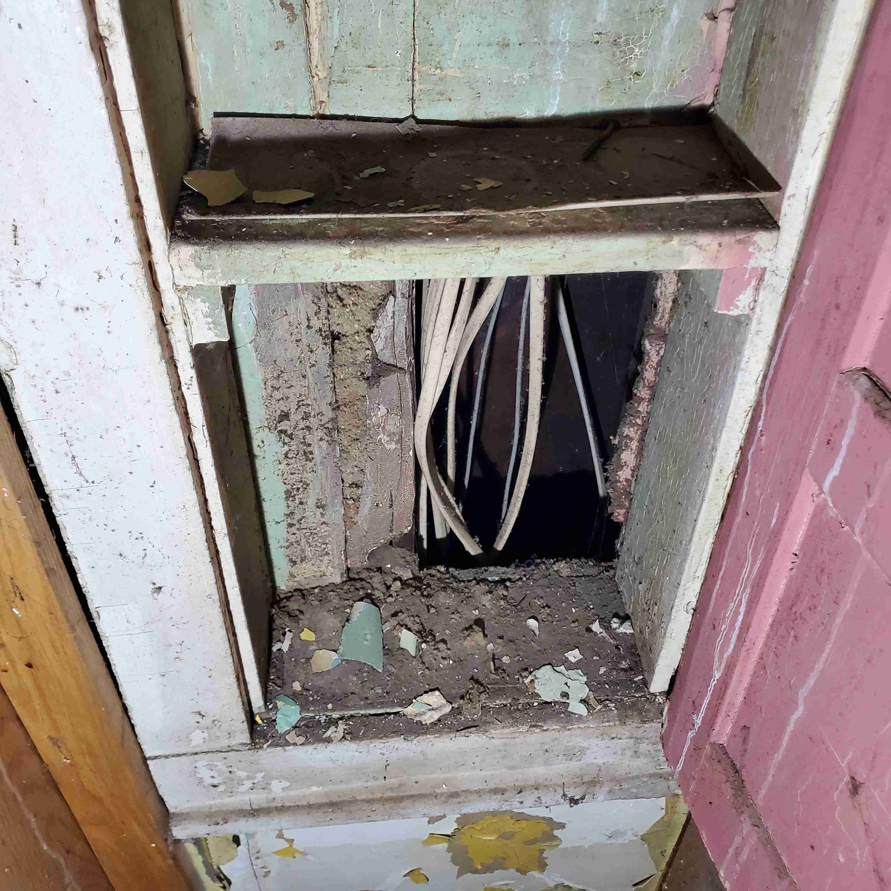 20200812_130138 (2).jpg